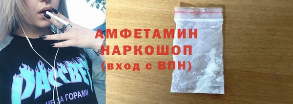 стаф Алзамай