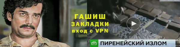 стаф Алзамай
