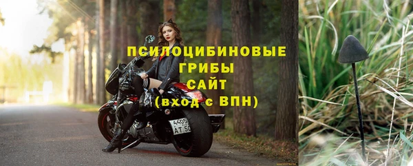стаф Алзамай