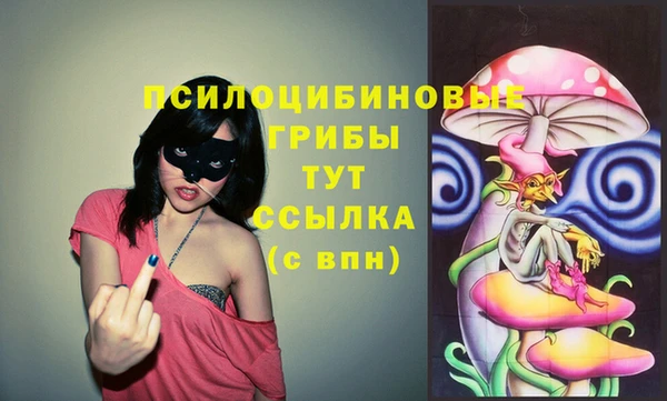 прущие крисы Алексеевка