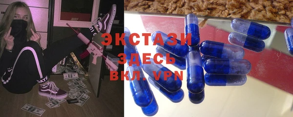 стаф Алзамай